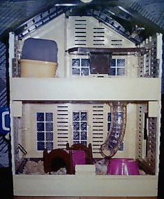 robo-house.jpg