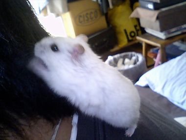 yukio5.jpg