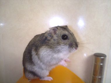 mogumu6.jpg