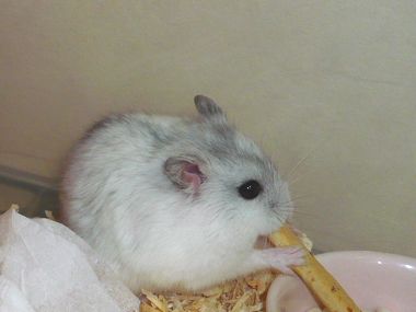 img20080529_1.jpg