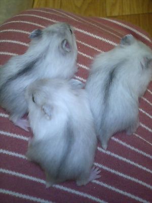 img20070926_5.jpg