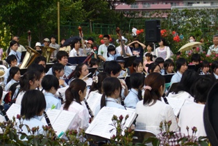 p1000916.jpg
