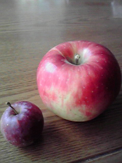 2009102815430000.jpg