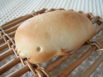 dscn5924.jpg