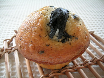 dscn6260.jpg