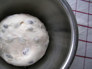 dscn3767.jpg