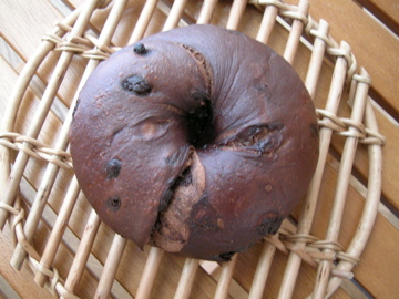 dscn4113.jpg