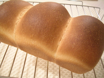 dscn3219.jpg