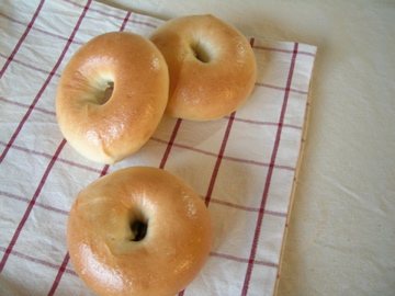 dscn1847.jpg
