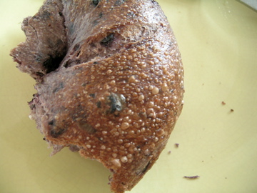 dscn5050.jpg