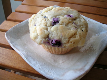 dscn3804.jpg