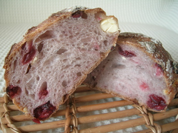 dscn5462.jpg
