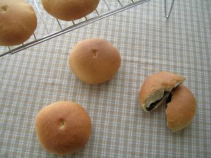 DSCN17711.jpg
