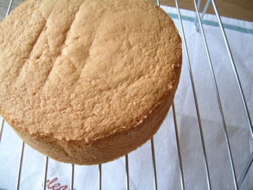 dscn3363.jpg