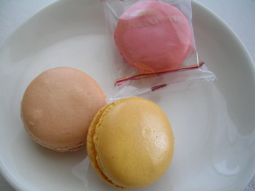 dscn4467.jpg