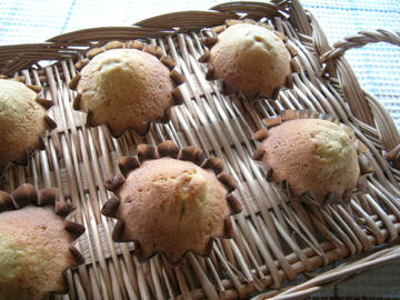 dscn3788.jpg
