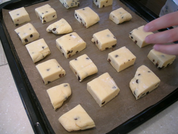 dscn6059.jpg