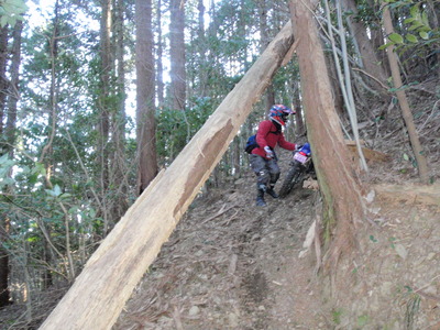 P3110051