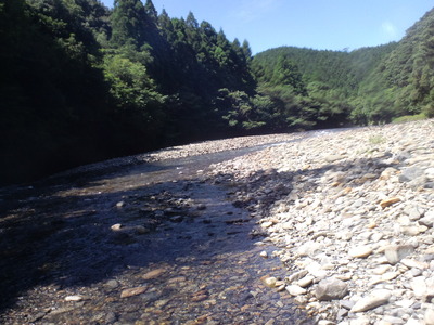 CA3C0037
