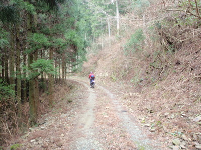 P3050018