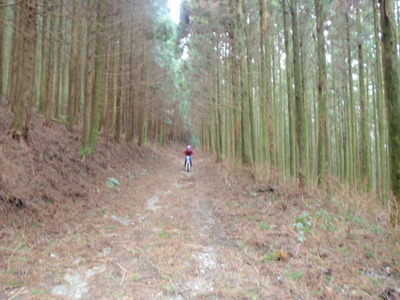 P3050020