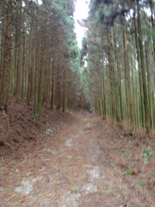 P3050019