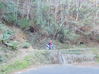 P3110036