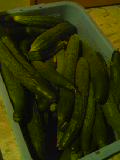 img20060716_2.jpg