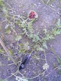 img20060918.jpg