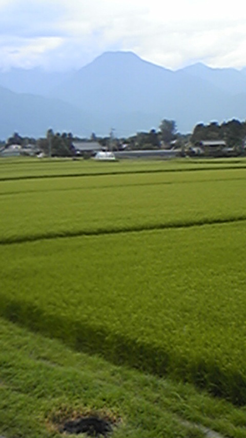 DVC00020.jpg