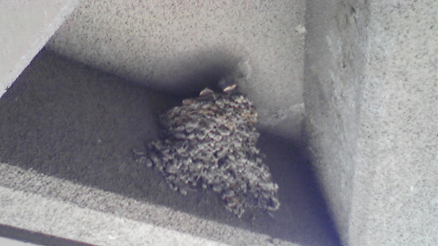 DVC00014.jpg