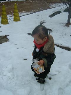 img20060221_3.jpg