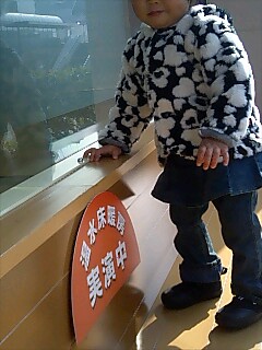 img20051125_2.jpg