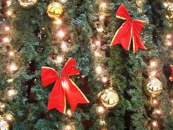 DSCF7295.jpg