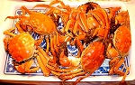 kani1.jpg