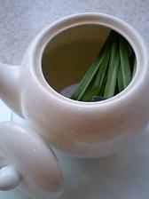 img20080906_2.jpg