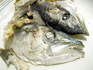 img20100122_1.jpg