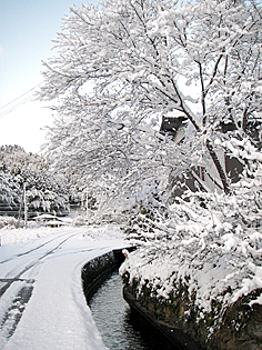 img20091219.jpg