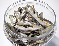 img20090926.jpg