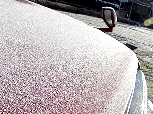 img20091220_1.jpg