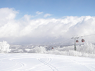 img20090223.jpg