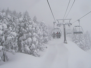 img20100208.jpg