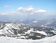 img20100120.jpg