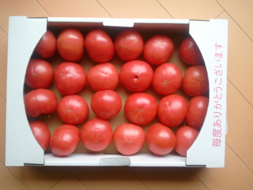 110517 tomato 60pix