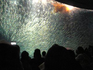 SBSH08251.jpg