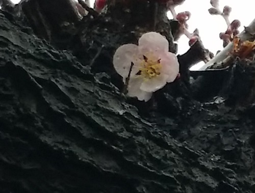 20150319_133401