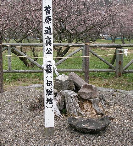 img20050319_1.jpg