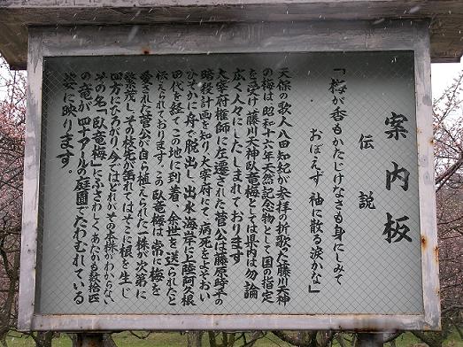 img20050319_2.jpg