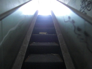 CIMG2556