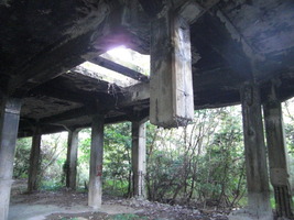 CIMG2744